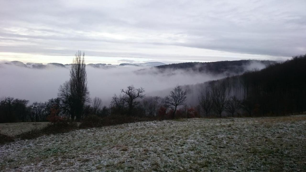 Nature Homestay Trenčín Exterior foto